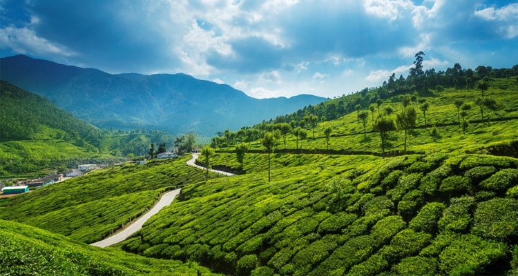 Idukki